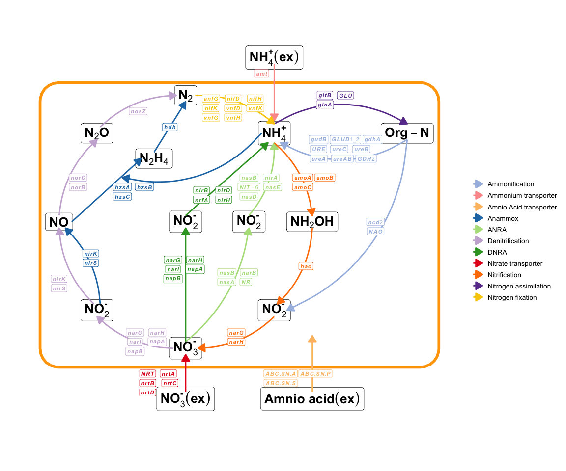 Nitrogen cycle